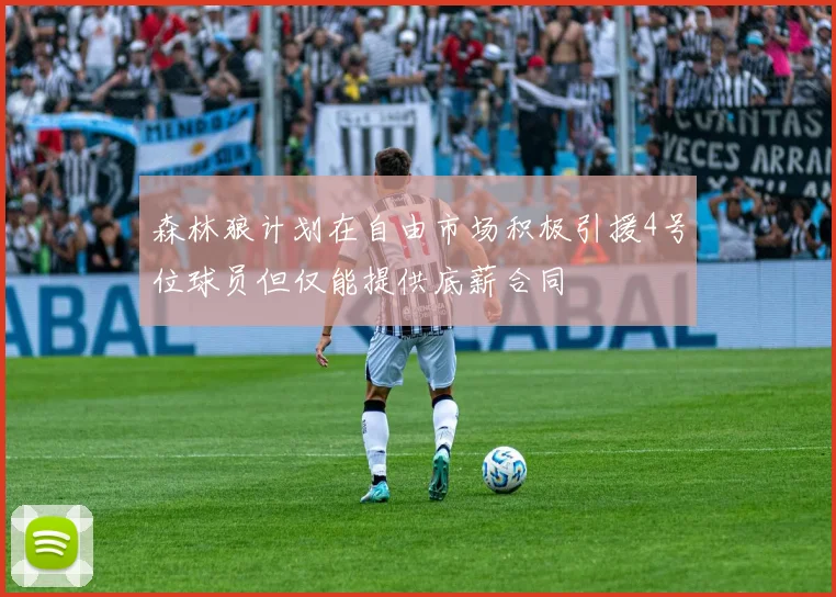 森林狼计划在自由市场积极引援4号位球员但仅能提供底薪合同